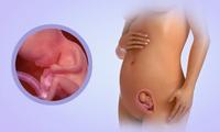 15 Weeks Pregnant- Symptoms and first pre natal visit