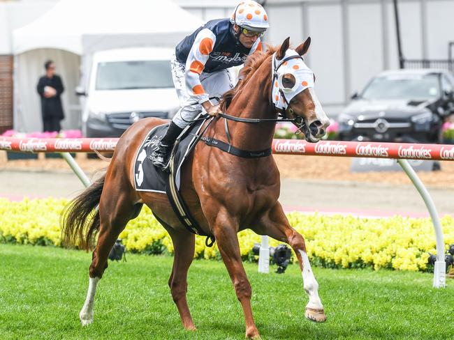 Just Folk will either run in the $500,000 Cranbourne Cup or chase $1m in The Gong at Kembla Grange on Saturday. Picture: Racing Photos via Getty Images.