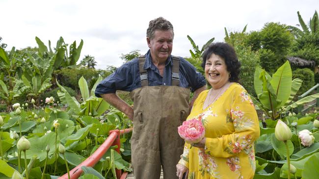 Mr and Mrs: Geoff’s wife, Yvonne, holds a mrs perry slocum lotus flower. Picture: Dannika Bonser