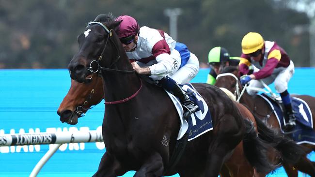 Smashing Eagle steps up to 1200m for the first time. Picture: Jeremy Ng/Getty Images