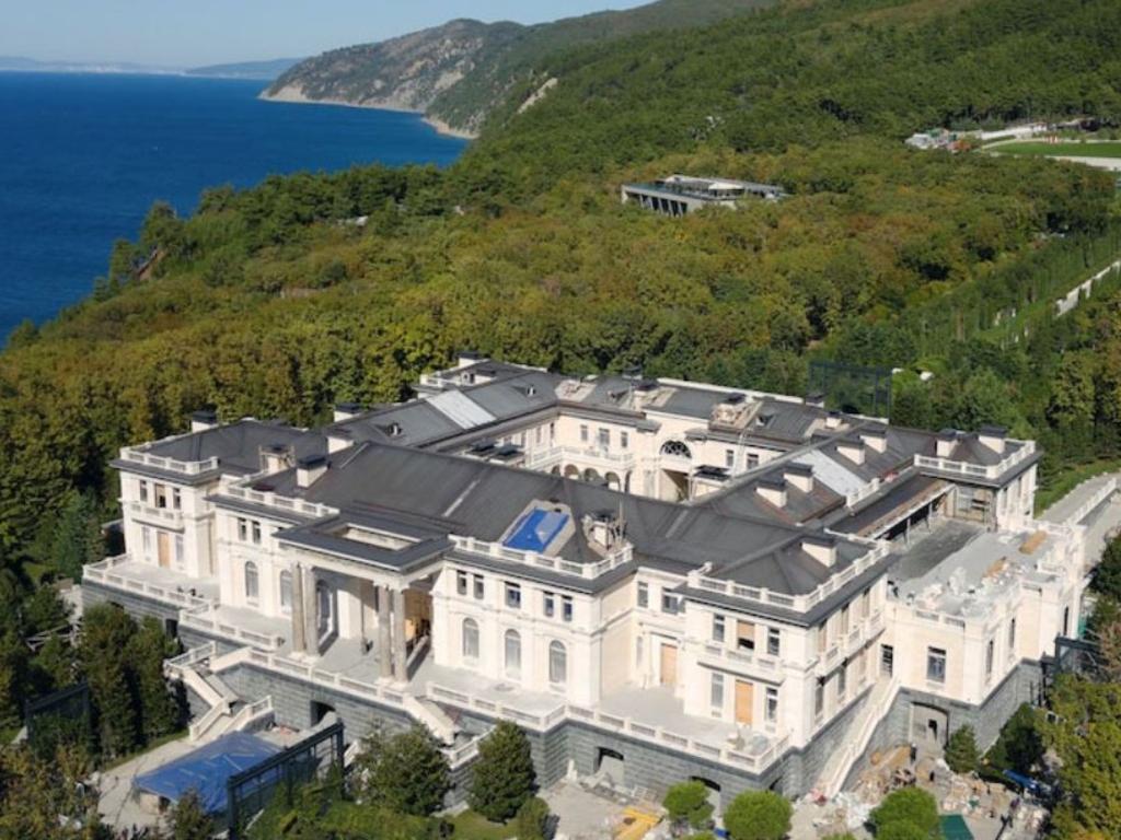 Vladimir Putin's palace" near Gelendzhik. Floorplans seem to suggest it's the biggest home in Russia, with wine cave, theatre, gym, pool, "aquadisco" &amp; hockey rink, &amp; cost $1.35bn https://palace.navalny.com. Source: Twitter/ Alec Luhn