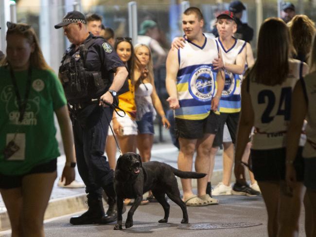 Schoolies 2024 at Victor Harbor. Police sniffer dog patrols Ocean Street, outside the Schoolies Festival. 22nd November 2024 Picture: Brett Hartwig