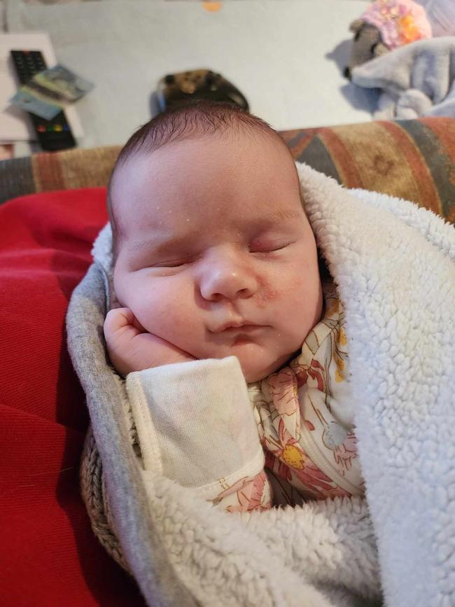 Hope Dear Smith. Four weeks old. Four things about me I love staring out windows I love cuddles. My favourite activity is eating. Every night is party night I am a night owl.