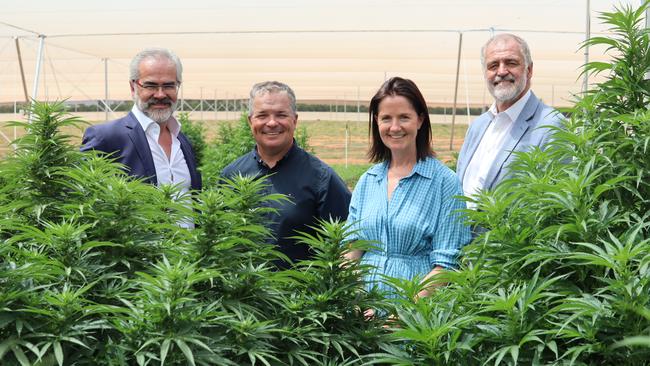 MedTEC Pharma co-founder and chief executive Richard Barrett, co-founder and chief operating officer Brad Gallard, advisory board member Anna McClure and chief commercial officer Dirk Beelen at the company’s Riverland facility. Picture: Supplied by MedTEC Pharma