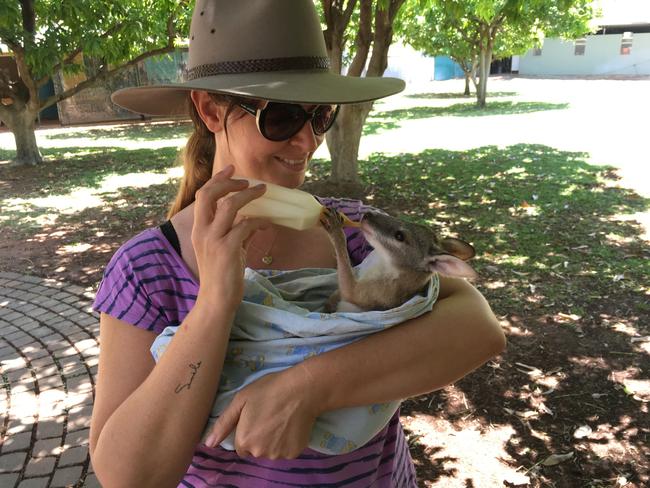 Rugabub founder Dana Weil with Ginger, a cheeky little joey, she rescued in Northern Territory.