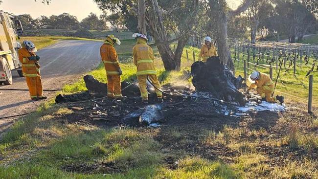 Fire crews putting out fire on Cranes Range Rd, Eden Valley. Picture: SA Police