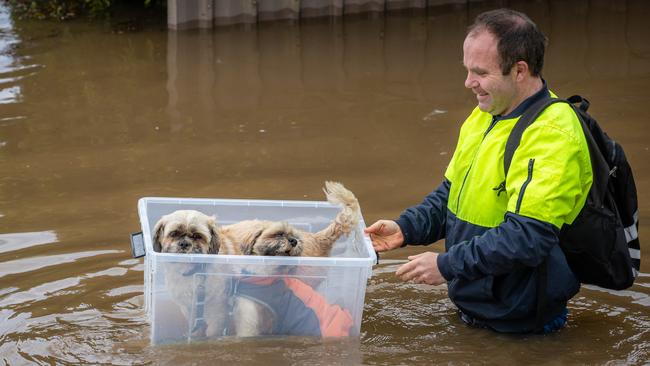 Saturday 15th Rochester township floods from the Campaspe River as it rises through the streets. Picture: Jason Edwards