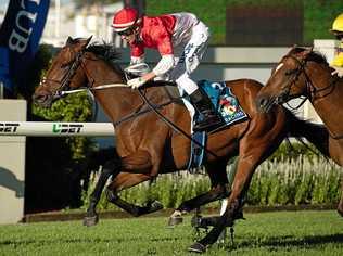 CONTENDER: Niccanova, with James Orman aboard, during the Tattersall's Recognition Stakes at Doomben in Brisbane last year. He's set to contest the Glasshouse Handicap at the Caloundra Cup meeting on Saturday. Picture: ALBERT PEREZ