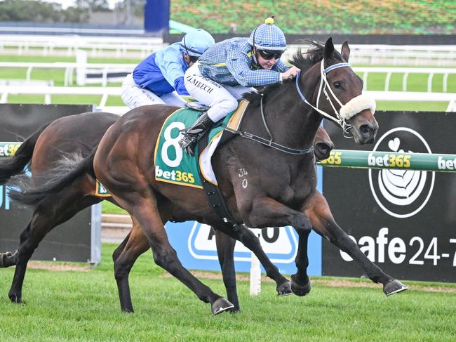 My Xanadu ridden by Linda Meech wins the Roderick Insurance Maiden Plate at Geelong Racecourse on April 24, 2024 in Geelong, Australia. (Reg Ryan/Racing Photos via Getty Images)