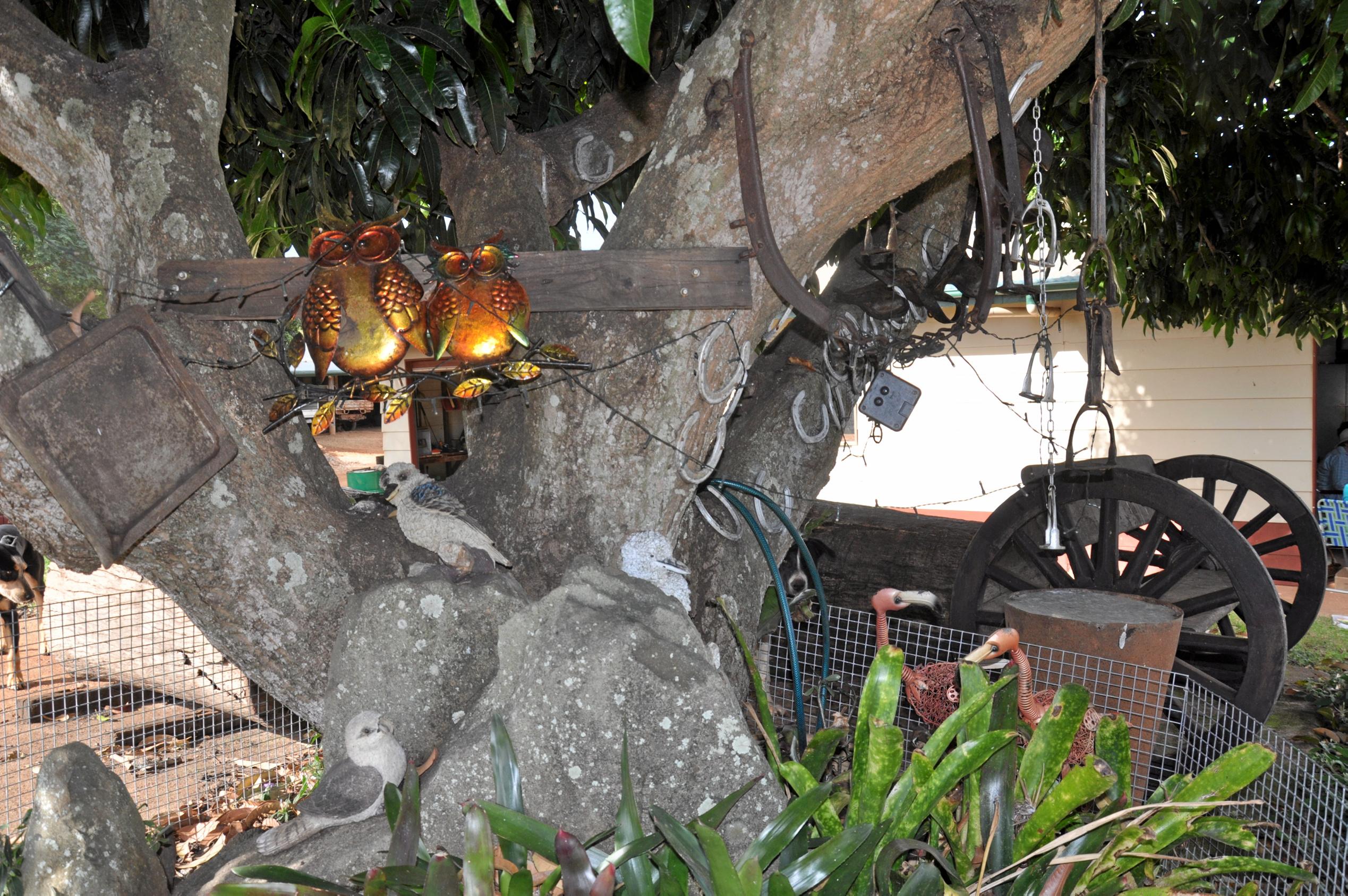 Monto Garden Club visits Roy and Bev Marbach's property. Picture: Mackenzie Colahan