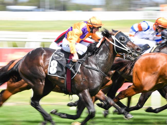 Dirty Work, ridden by William Pike, makes his move in the Schillaci Stakes.