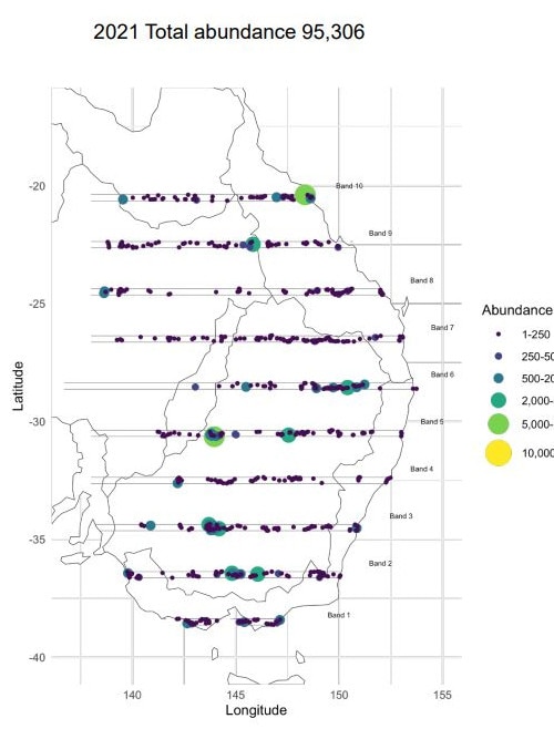 Eastern Australian Waterbird Survey bands for 2021.