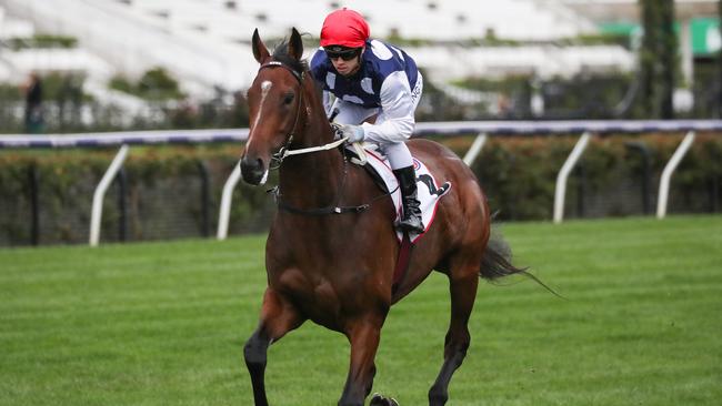 Johnny Get Angry (NZ) ridden by Lachlan King on the way to the barriers prior to the Makybe Diva Stakes. Picture: Racing Photos