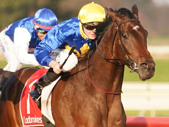 Duke Of Neworleans ridden by Ethan Brown wins the Highgrove Bathrooms Warragul/Sale Class 1 Handicap at Sale Racecourse on July 09, 2021 in Sale, Australia. (Scott Barbour/Racing Photos via Getty Images)