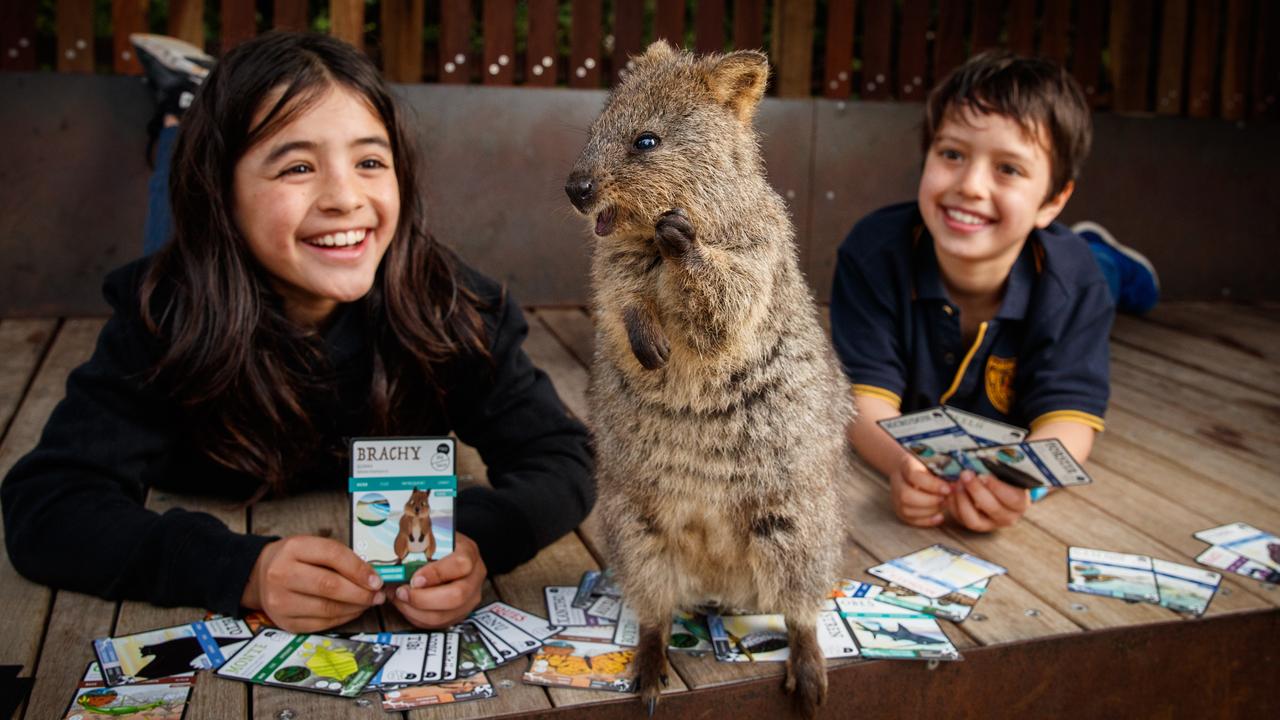 Vote for your favourite endangered animal to be included in ANiMOZ – Fight  for Survival card game | KidsNews