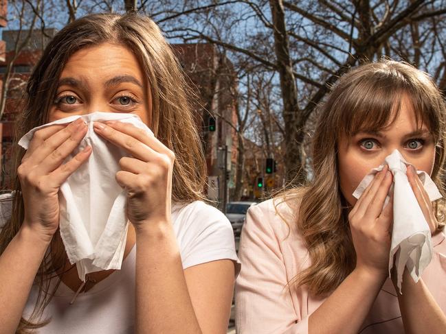 Hay fever sufferers Yasmin Cinelli 23 and Katelin Rice 22 on Frome Road which is lined with the London Plane Trees that spark allergies. PICTURE: Brad Fleet