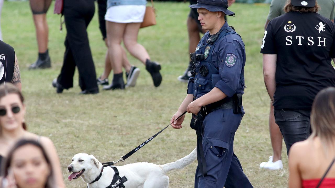 Pill Testing Could Be Introduced At All NSW Music Festivals | News.com ...