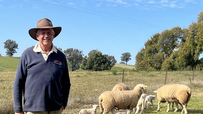 Tony Rutter of “Avon” at Tarcutta in southern NSW with some of his composite ewes. Picture: Nikki Reynolds