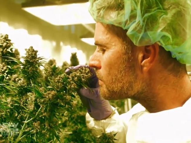 Pete Evans during Sunday Night’s medicinal cannabis segment.