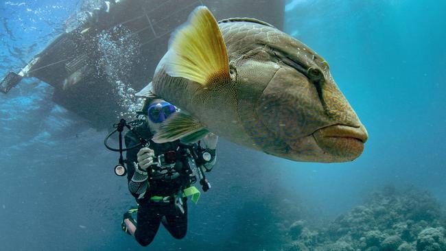 A selfie with a local on a clear day on the reef. Picture: Cairns Dive Adventures