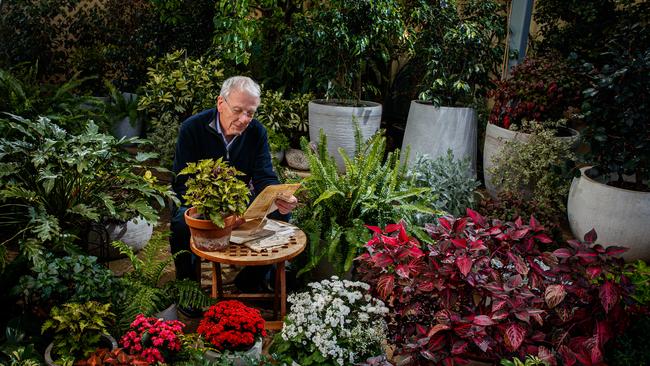 Gardening guru Jon Lamb pictured in his courtyard in Campbelltown. Picture Matt Turner.