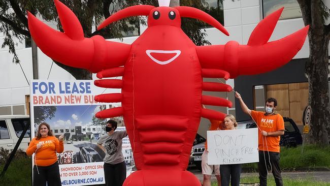 Lobster protesters outside the Victorian Liberal’s campaign launch. Picture: Ian Currie