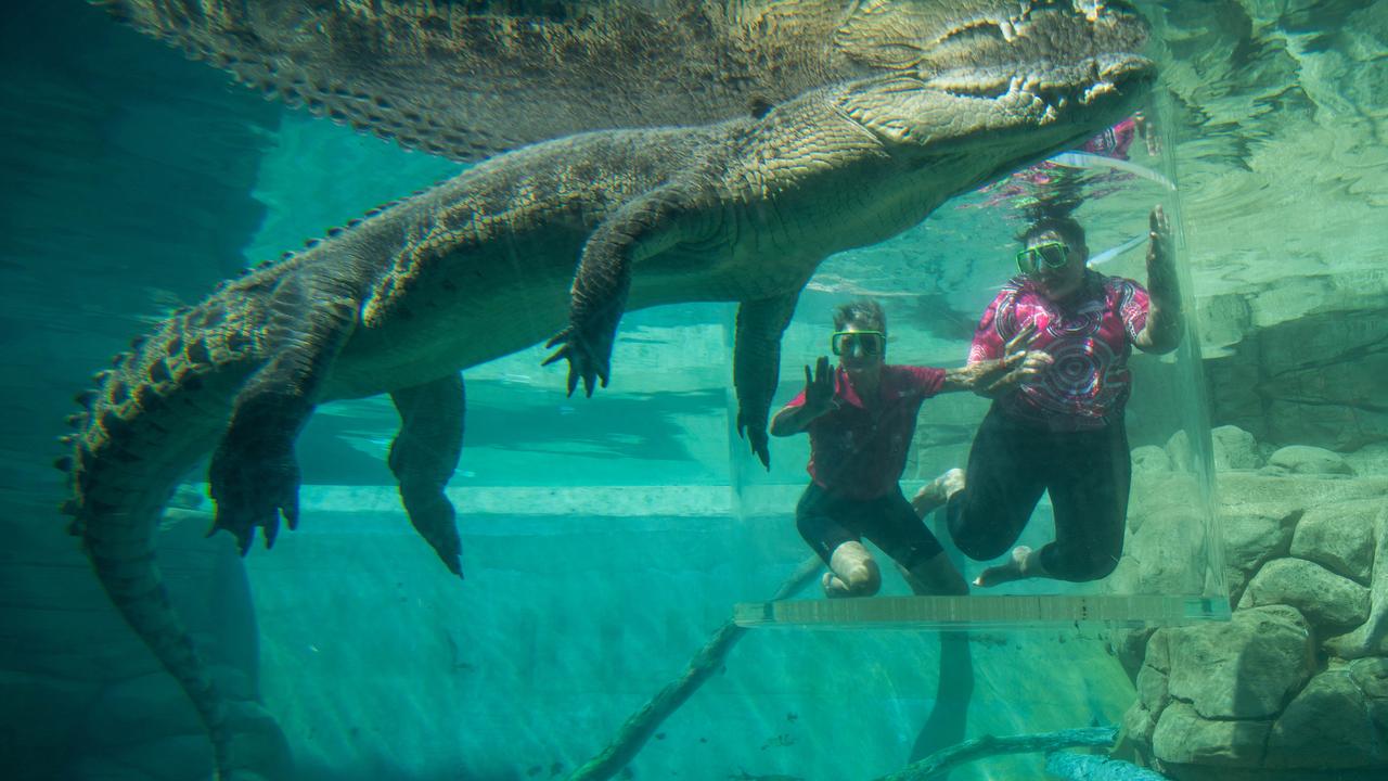 Breast cancer survivor Glenda Reid and BreastScreen NT representative Natalie Stokes entering the cage of death at the Crocosaurus Cove, Darwin. Picture: Pema Tamang Pakhrin