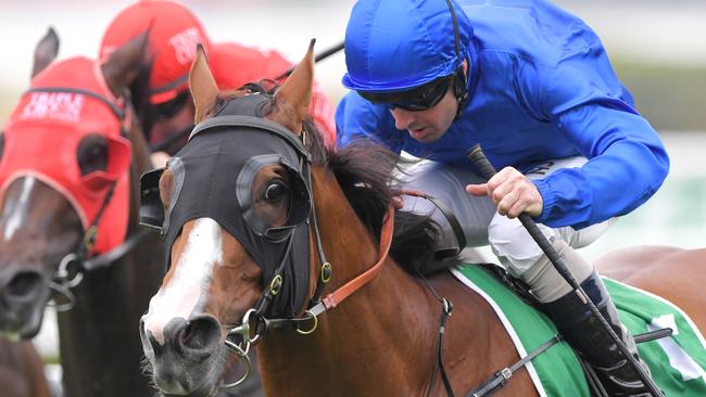 Phaistos will have his second run in Queensland after finishing second at Doomben a fortnight ago.