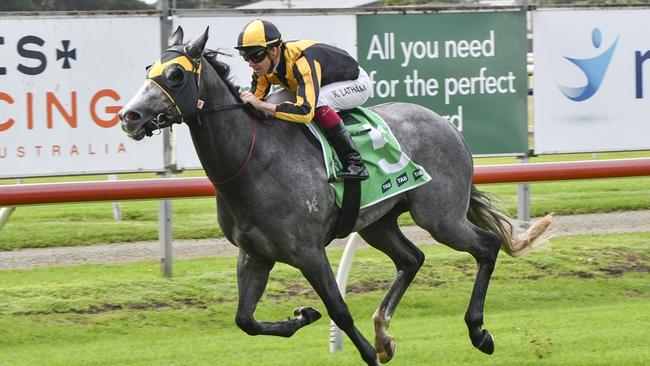 Snatchreilly is chasing his first win for his new connections when he heads to Moree. Picture: Bradley Photos