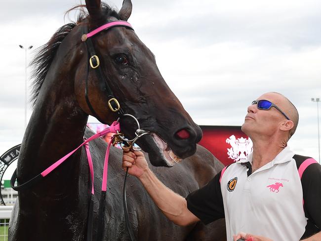 Emerald Kingdom and Justin Anderson. Picture: Trackside Photography