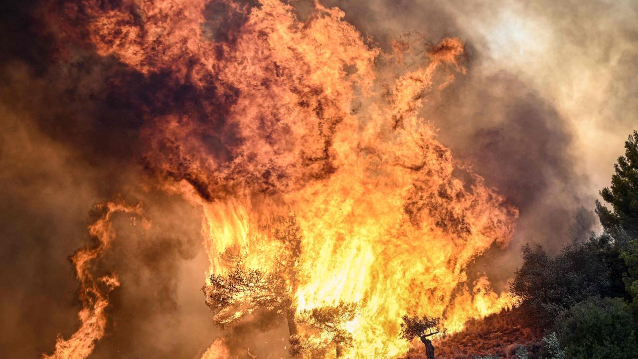 Flames burning vegetation during a wildfire near Prodromos, 100km northeast from Athens, on August 21. Picture: Spyros Bakalis / AFP