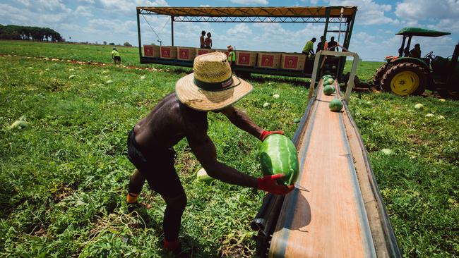 170 agricultural workers from Samoa have touched down in Darwin. Picture: Glenn Campbell