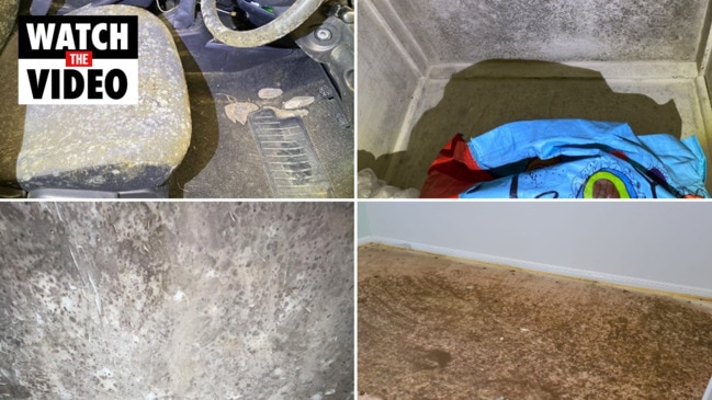 Mould: The secret killer in our homes