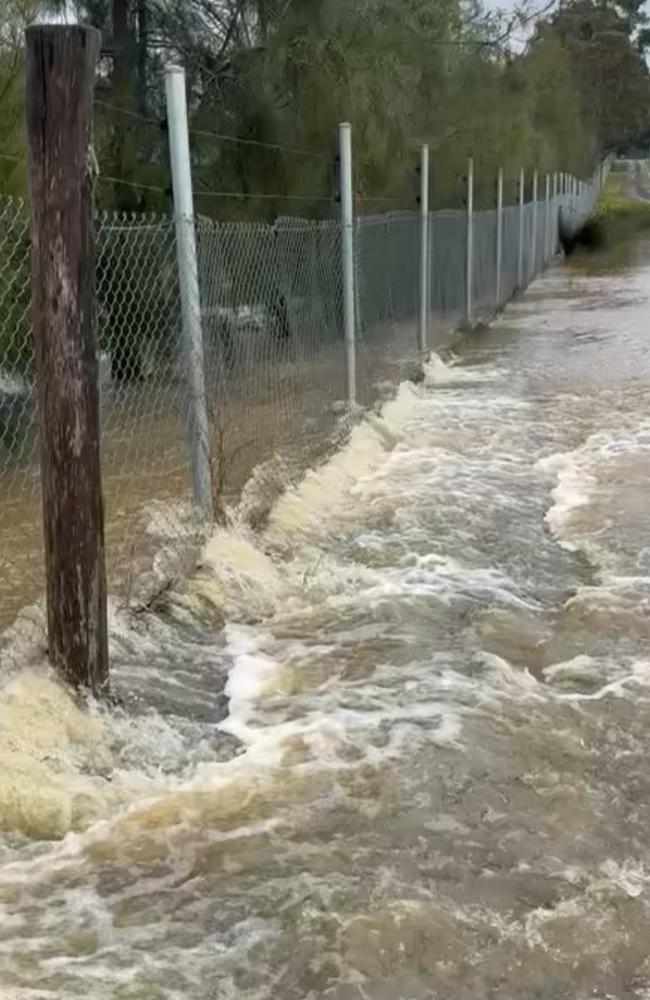 Chad Staples' Hunter Valley Zoo was flooding on Friday. Picture: Supplied