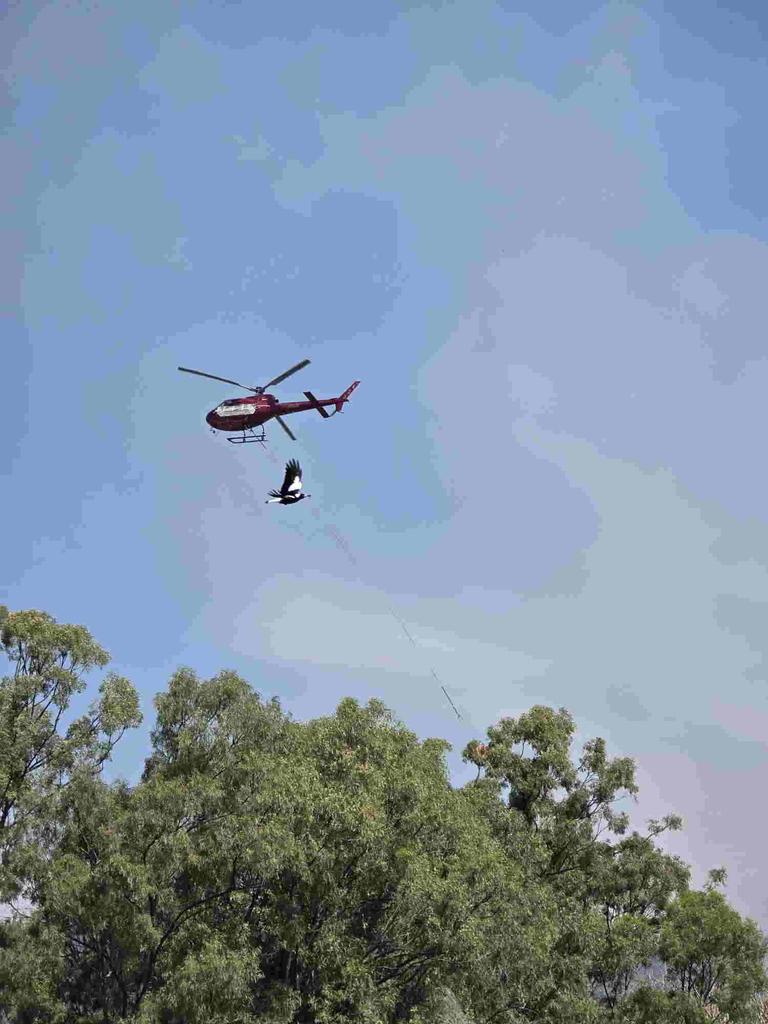 Emergency services at the scene of multiple fires on Mount Morgan range on September 22, 2024. SES have road blocks on the Burnett Hwy as Queensland Fire Brigade crews battle the fires, including using a helicopter to drop water from the air.