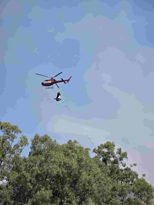 Emergency services at the scene of multiple fires on Mount Morgan range on September 22, 2024. SES have road blocks on the Burnett Hwy as Queensland Fire Brigade crews battle the fires, including using a helicopter to drop water from the air.