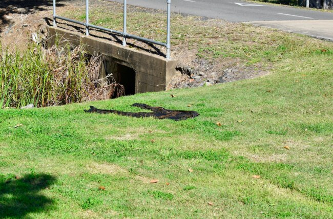 Clothing found at the scene. Picture: Isabella Magee