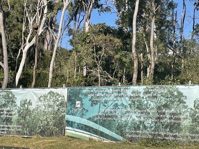 The controversial fence installed at Mant St, Point Vernon, after a mass tree poisoning.