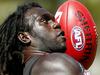 SuperCoach bargain bin: $102,400 rookies