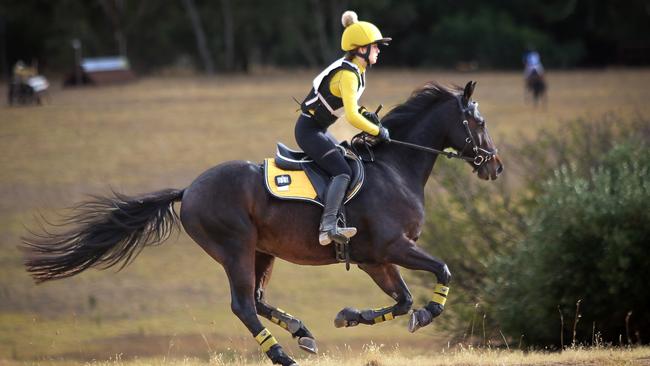 Young SA eventer Emily Ashby. Picture: Brooke Thompson Photography