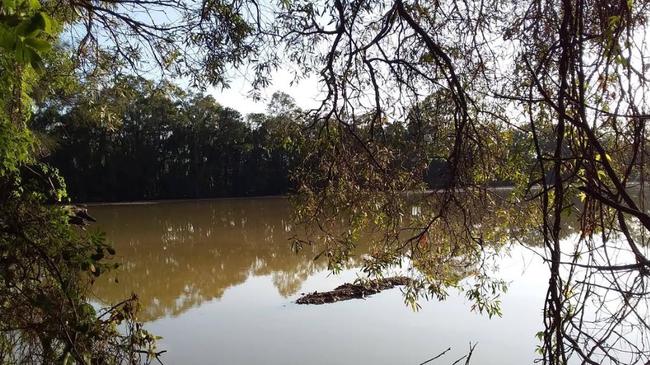 Black Swan Lake at Bundall on the Gold Coast after heavy rain.