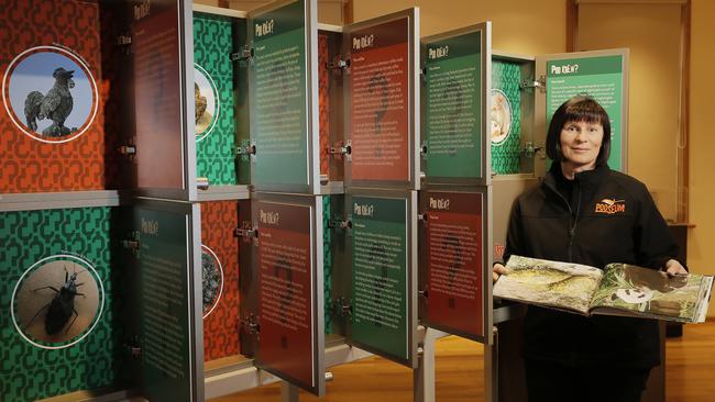 Karin Koch has opened a new science museum in Richmond that is dedicated to animal dung. Picture: Mathew Farrell