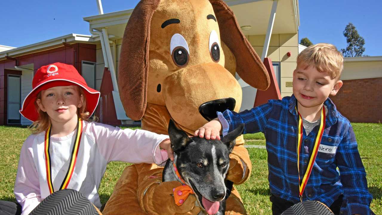 Felicity Hammond and Nero Tucker sit with Scooter and Raz. Picture: Alexia Austin