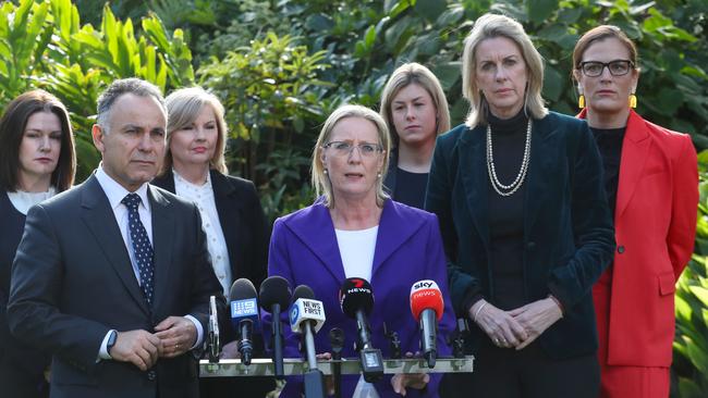 Liberal MP Cindy McLeish, centre, has demanded an apology from Premier Daniel Andrews after he allegedly called her a “half-wit grub” in Parliament. Picture: NCA NewsWire / David Crosling