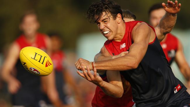 Marty Hore impressed throughout the JLT Series. Picture: Getty Images 