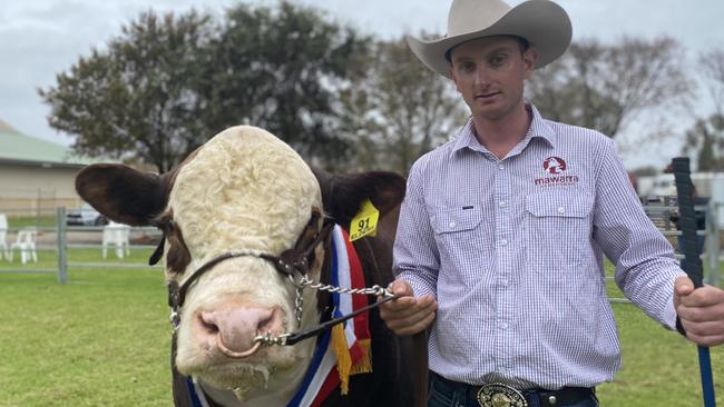 Logan Sykes from Mawarra Genetics at Longford and the $130,000 bull.