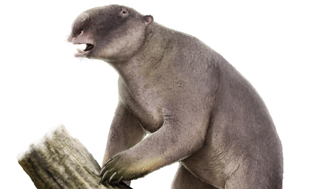 Megafauna: Scientists solve mystery of extinct prehistoric beasts