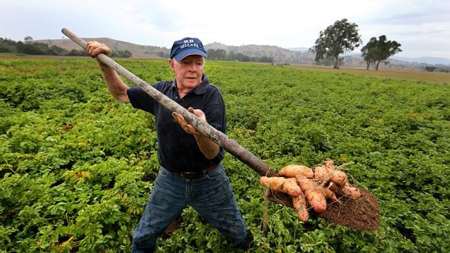 Dobson's Potatoes