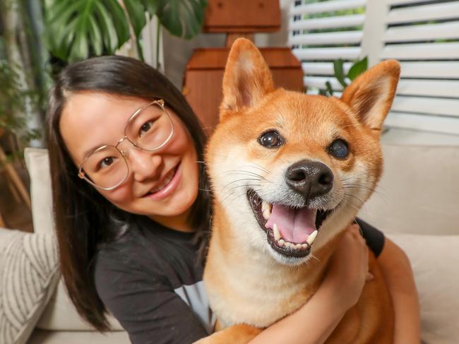 Most expensive dog insurance claims. A Doncaster woman spent $14,000 on rare eye surgery for her dog after he was blind in one eye. She drove him to Sydney worried how he could cope flying. He underwent an 8 hour surgery by two specialist surgeons and can now see. Sophie Chen with Beta a 3 year old Shiba Inu. Picture: Tim Carrafa