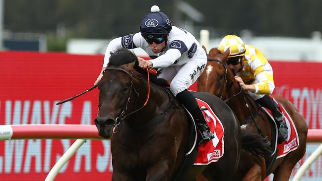 Caballus is the favourite against a hot field in the Eskimo Prince Stakes on Saturday. Picture: Jeremy Ng/Getty Images